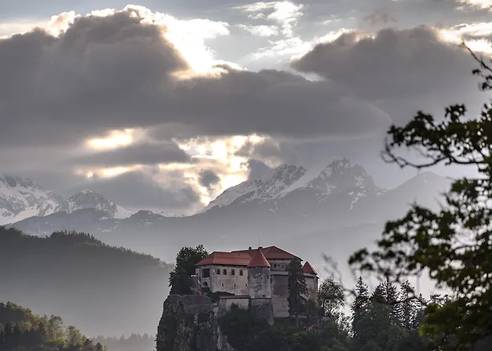 Ula La Luxury ブレッド